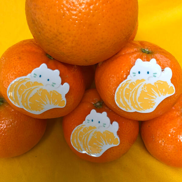 Orange Cat