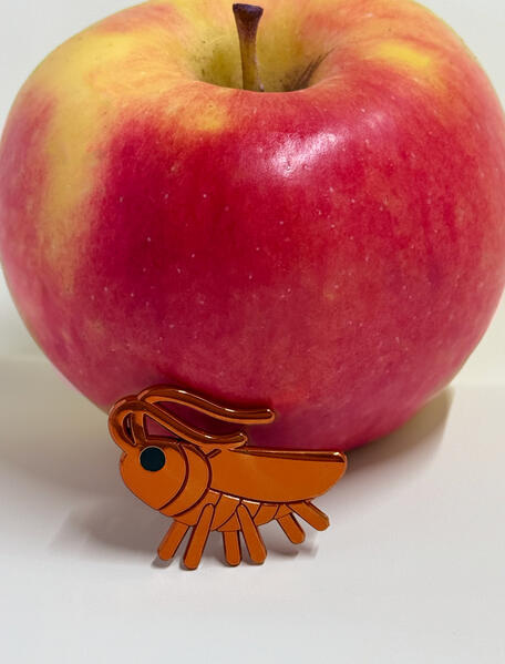Pablo Pin